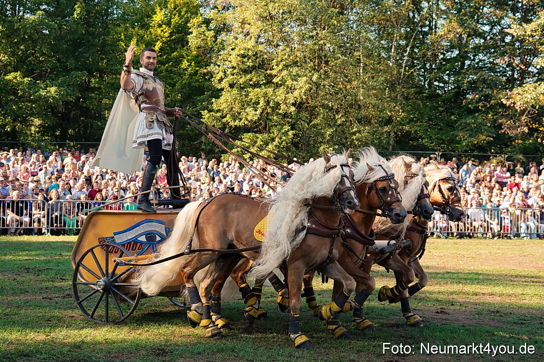 Pferde und Fohlenschau 2022 0001 